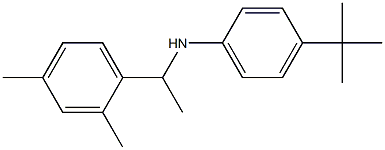 4-tert-butyl-N-[1-(2,4-dimethylphenyl)ethyl]aniline Struktur