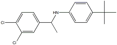 4-tert-butyl-N-[1-(3,4-dichlorophenyl)ethyl]aniline Structure