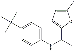 4-tert-butyl-N-[1-(5-methylfuran-2-yl)ethyl]aniline,,结构式