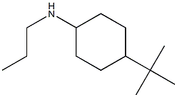 4-tert-butyl-N-propylcyclohexan-1-amine Structure