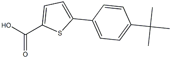 5-(4-tert-butylphenyl)thiophene-2-carboxylic acid Structure