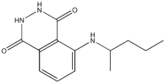 5-(pentan-2-ylamino)-1,2,3,4-tetrahydrophthalazine-1,4-dione 化学構造式