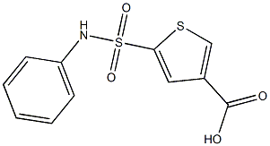 5-(phenylsulfamoyl)thiophene-3-carboxylic acid 化学構造式