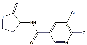 5,6-dichloro-N-(2-oxooxolan-3-yl)pyridine-3-carboxamide 结构式