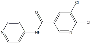 5,6-dichloro-N-(pyridin-4-yl)pyridine-3-carboxamide 结构式