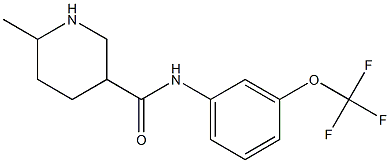 6-methyl-N-[3-(trifluoromethoxy)phenyl]piperidine-3-carboxamide Struktur