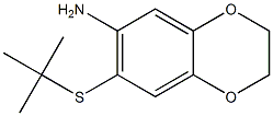 7-(tert-butylsulfanyl)-2,3-dihydro-1,4-benzodioxin-6-amine 化学構造式