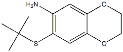 7-(tert-butylsulfanyl)-2,3-dihydro-1,4-benzodioxin-6-amine