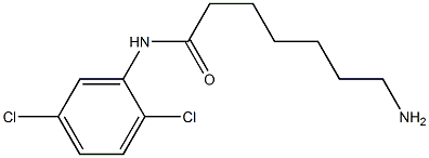 7-amino-N-(2,5-dichlorophenyl)heptanamide Structure