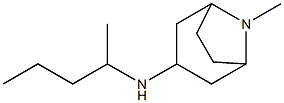 8-methyl-N-(pentan-2-yl)-8-azabicyclo[3.2.1]octan-3-amine Structure