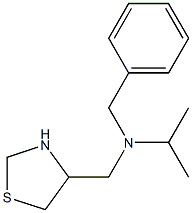 benzyl(propan-2-yl)(1,3-thiazolidin-4-ylmethyl)amine Structure