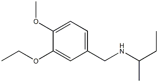 butan-2-yl[(3-ethoxy-4-methoxyphenyl)methyl]amine Structure