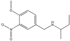 butan-2-yl[(4-methoxy-3-nitrophenyl)methyl]amine 化学構造式