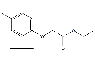 ethyl 2-(2-tert-butyl-4-ethylphenoxy)acetate 化学構造式