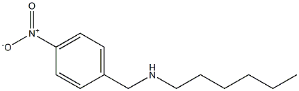 hexyl[(4-nitrophenyl)methyl]amine 结构式