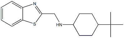 N-(1,3-benzothiazol-2-ylmethyl)-4-tert-butylcyclohexan-1-amine 化学構造式