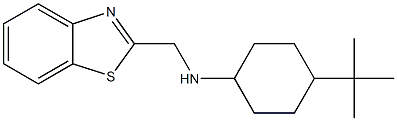 N-(1,3-benzothiazol-2-ylmethyl)-4-tert-butylcyclohexan-1-amine Structure