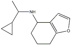 N-(1-cyclopropylethyl)-4,5,6,7-tetrahydro-1-benzofuran-4-amine Struktur