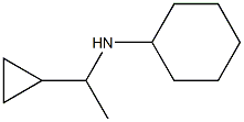  N-(1-cyclopropylethyl)cyclohexanamine