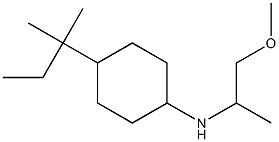 N-(1-methoxypropan-2-yl)-4-(2-methylbutan-2-yl)cyclohexan-1-amine