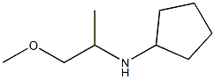 N-(1-methoxypropan-2-yl)cyclopentanamine Structure