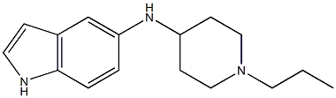 N-(1-propylpiperidin-4-yl)-1H-indol-5-amine Structure