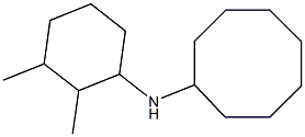 N-(2,3-dimethylcyclohexyl)cyclooctanamine 化学構造式