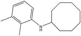 N-(2,3-dimethylphenyl)cyclooctanamine Structure