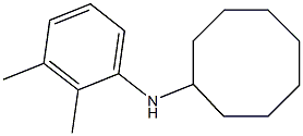 N-(2,3-dimethylphenyl)cyclooctanamine