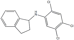 N-(2,4,5-trichlorophenyl)-2,3-dihydro-1H-inden-1-amine Struktur