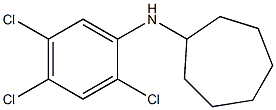 N-(2,4,5-trichlorophenyl)cycloheptanamine Structure