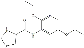 N-(2,5-diethoxyphenyl)-1,3-thiazolidine-4-carboxamide Struktur