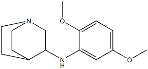 N-(2,5-dimethoxyphenyl)-1-azabicyclo[2.2.2]octan-3-amine|