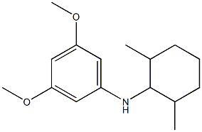 N-(2,6-dimethylcyclohexyl)-3,5-dimethoxyaniline Struktur