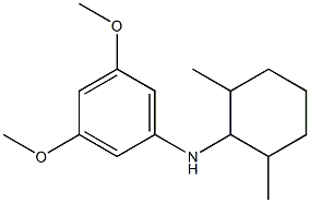 N-(2,6-dimethylcyclohexyl)-3,5-dimethoxyaniline|