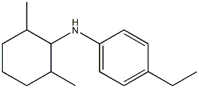 N-(2,6-dimethylcyclohexyl)-4-ethylaniline|