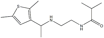  N-(2-{[1-(2,5-dimethylthiophen-3-yl)ethyl]amino}ethyl)-2-methylpropanamide