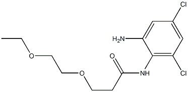 N-(2-amino-4,6-dichlorophenyl)-3-(2-ethoxyethoxy)propanamide 结构式