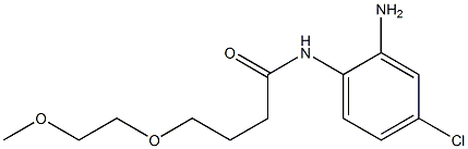 N-(2-amino-4-chlorophenyl)-4-(2-methoxyethoxy)butanamide Structure