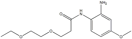 N-(2-amino-4-methoxyphenyl)-3-(2-ethoxyethoxy)propanamide|