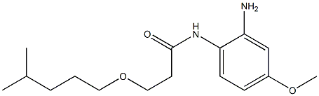 N-(2-amino-4-methoxyphenyl)-3-[(4-methylpentyl)oxy]propanamide