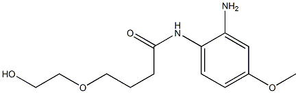 N-(2-amino-4-methoxyphenyl)-4-(2-hydroxyethoxy)butanamide Structure