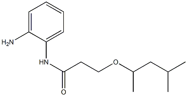 N-(2-aminophenyl)-3-[(4-methylpentan-2-yl)oxy]propanamide Structure