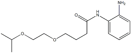 N-(2-aminophenyl)-4-[2-(propan-2-yloxy)ethoxy]butanamide 结构式