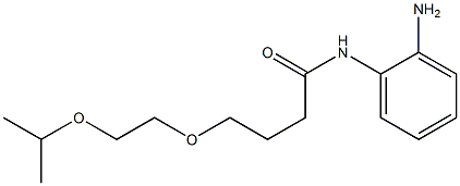 N-(2-aminophenyl)-4-[2-(propan-2-yloxy)ethoxy]butanamide 化学構造式