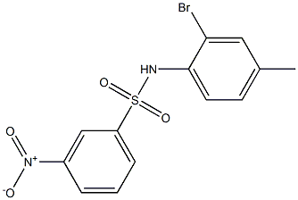 N-(2-bromo-4-methylphenyl)-3-nitrobenzene-1-sulfonamide 化学構造式