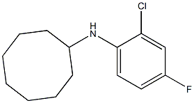 N-(2-chloro-4-fluorophenyl)cyclooctanamine|