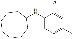 N-(2-chloro-4-methylphenyl)cyclooctanamine