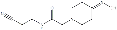 N-(2-cyanoethyl)-2-[4-(hydroxyimino)piperidin-1-yl]acetamide Struktur