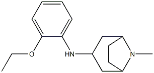 N-(2-ethoxyphenyl)-8-methyl-8-azabicyclo[3.2.1]octan-3-amine Structure